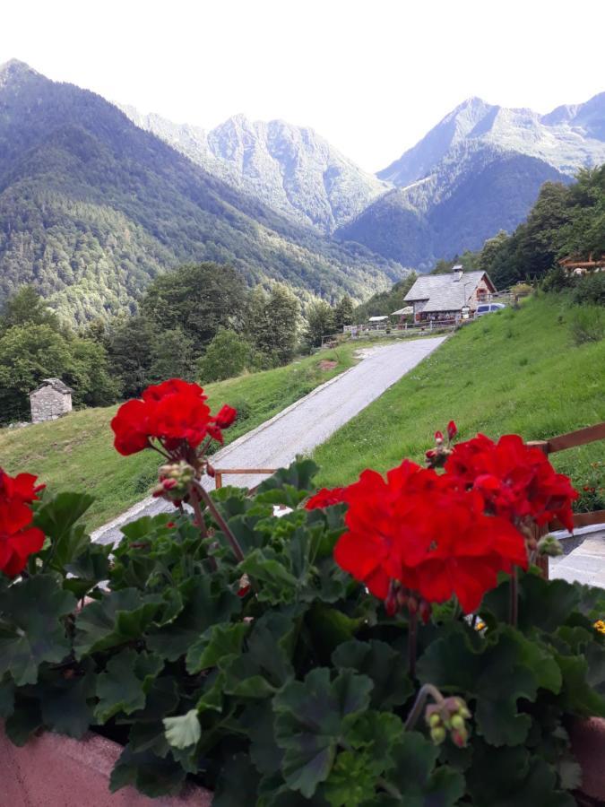 Casa All'Alpe Anzino エクステリア 写真